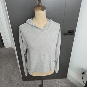 Freedom TRAIL large Gray Hooded Sweatshirt